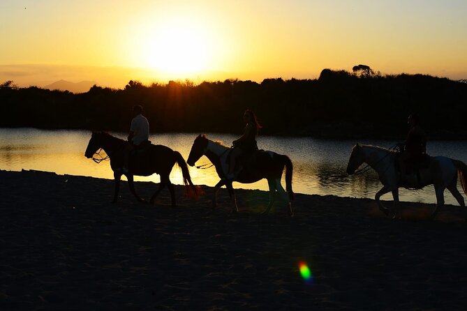 2-Hour Horseback Riding Tour at Sunset from Punta Cana - Key highlights you’ll care about