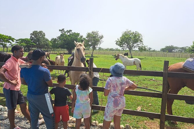2-Hour Horseback Riding Tour at Sunset from Punta Cana - Macao Beach stop: breezes, waves, and a chance to cool off