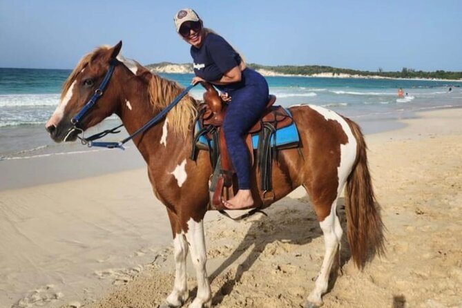 2-Hour Horseback Riding Tour at Sunset from Punta Cana - Food, coffee, cocoa, and mamajuana at the ranch