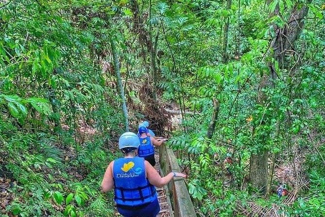 27 Waterfalls Damajagua Amber Cove, Taino Bay - Puerto Plata - The 35-Minute Trail to Waterfall 7: Pace, shade, and staying ready