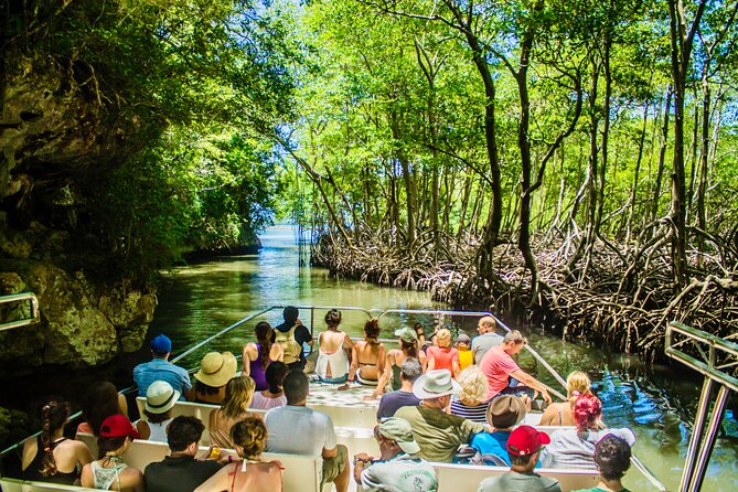 2in1: Los Haitises National Park + Yanigua Waterfall-SPA - Key highlights you’ll care about
