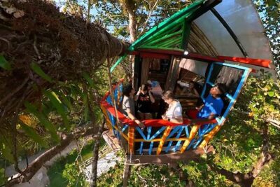 2in1: Los Haitises National Park + Yanigua Waterfall-SPA - Pickup day: how the morning sets up your long boat and swim time