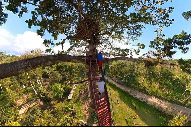 2in1: Los Haitises National Park + Yanigua Waterfall-SPA - Lunch and the Dominican buffet: what’s included and what to add