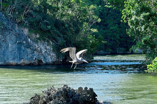 2in1: Los Haitises National Park + Yanigua Waterfall-SPA - What to pack and wear for a day that mixes boats and water