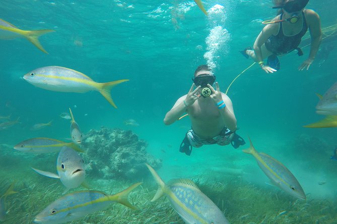 3 ADVENTURES: Sailing Catamaran Cruise - Hooka Diving - Snorkeling - Getting There: Pickup, Boat Coordination, and What to Expect