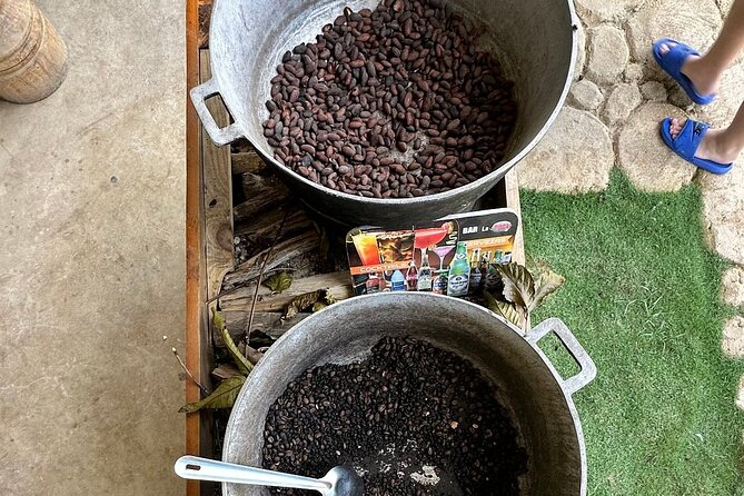4x4 ATV Adventure in Punta Cana: Cave & Dominican Culture - Boogies Punta Cana: organic farm tastings and the Dominican food break