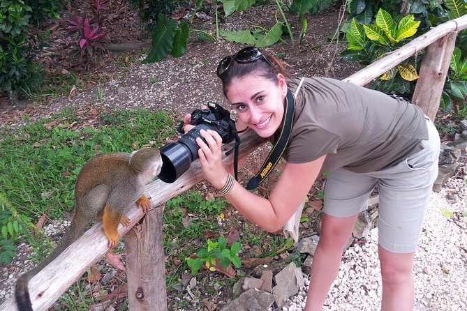 Adventure Bundle: Monkeyland, Ziplines & Buggies Punta Cana - The coconut house and food stops: coffee, cacao, and Dominican flavors