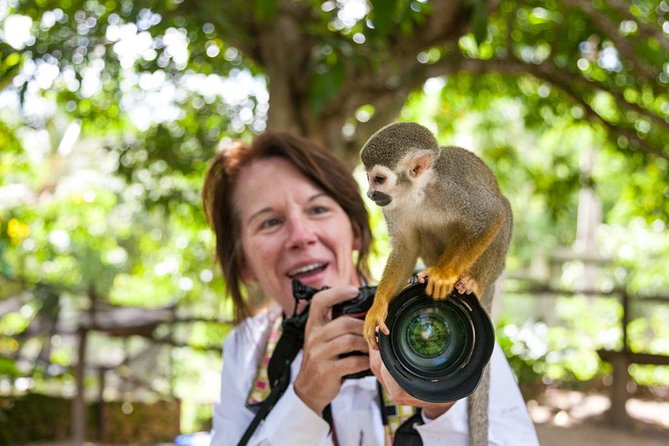 Adventure Bundle: Monkeyland, Ziplines & Buggies Punta Cana - Timing and downtime: the long-day reality