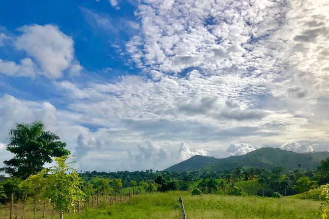 Adventure Bundle: Monkeyland, Ziplines & Buggies Punta Cana - Value check: is $209 per group worth it?