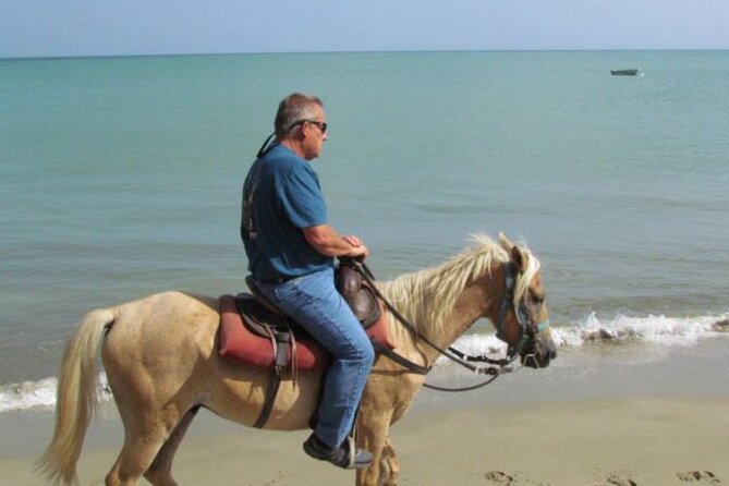 Amazing 3-Hour Horseback Riding at Puerto Plata with Pickup - Horses and animal welfare: a mixed bag you should watch for