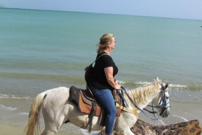 Amazing 3-Hour Horseback Riding at Puerto Plata with Pickup - Value check: is $74.10 worth it?