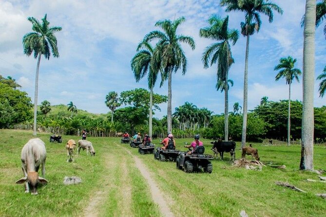 ATVs Fun Tour from Amber Cove and Taino Bay Puerto Plata - The Beach Stop: Swim Time That’s Short but Real