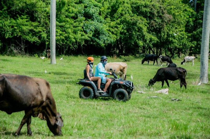 ATVs Fun Tour from Amber Cove and Taino Bay Puerto Plata - Group Size and Timing: How It Fits a Cruise Day