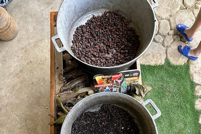 Buggy Adventure Tour with Chocolate and Coffee in Punta Cana - Key points at a glance