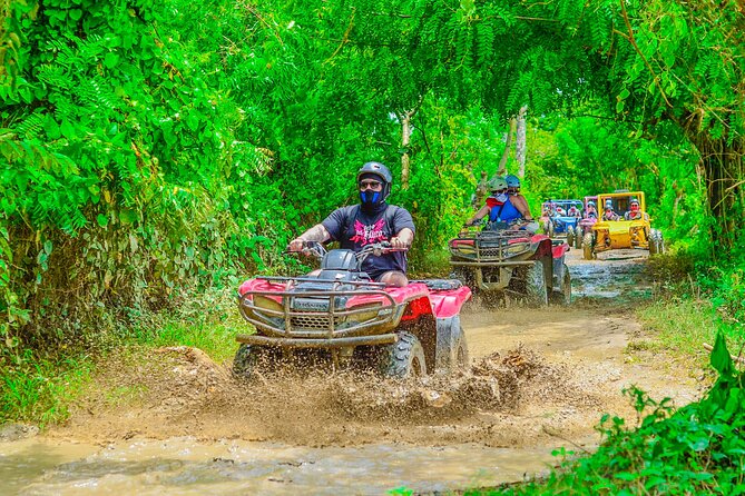 Buggy Ride Into the jungle with cave coffee & chocolate tasting - Chocolate and Coffee Tasting at an Ecological Farm (Plus the Sales Pressure Reality)
