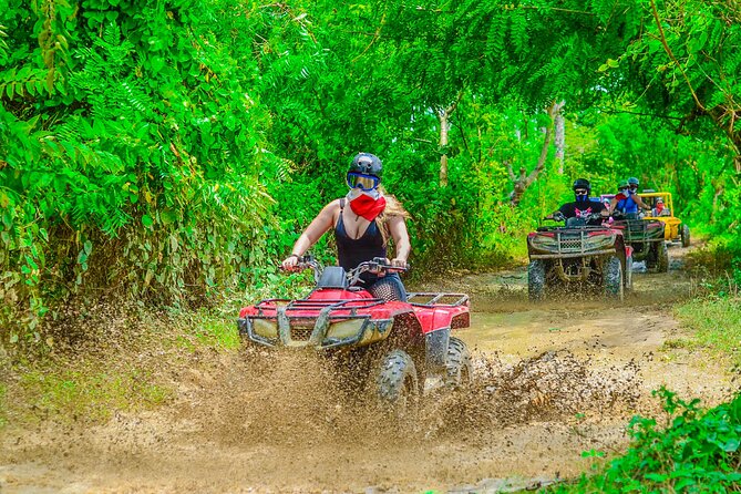 Buggy Ride Into the jungle with cave coffee & chocolate tasting - Price and Value: Does $53 Make Sense for This Mix?