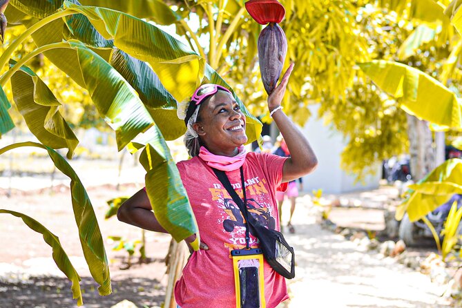 Buggy Tour Punta Cana: MagicalCaves ,Dream Beaches & Culture - Dominican house culture and the tastings that make it more than a ride