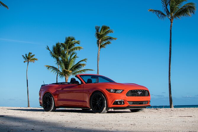 Cars for Rent in Punta Cana - Booking Decision: Should You Book This Mustang Day?