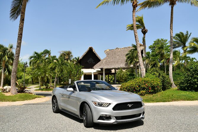 Cars for Rent in Punta Cana - FAQ