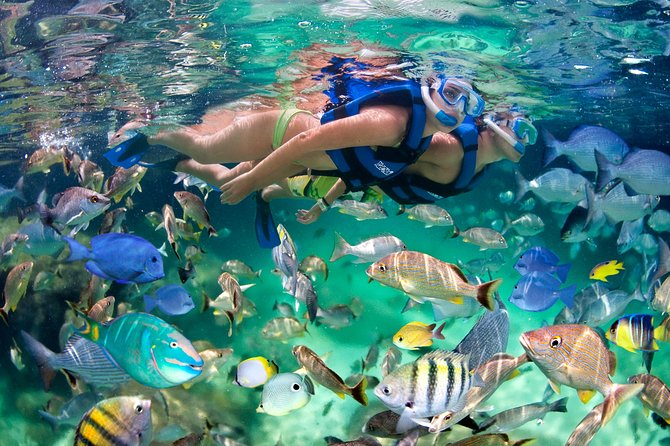 Catamaran Cruise with Snorkeling & Parasailing - Parasailing: The Big-Sky Moment (and the Weather Reality)