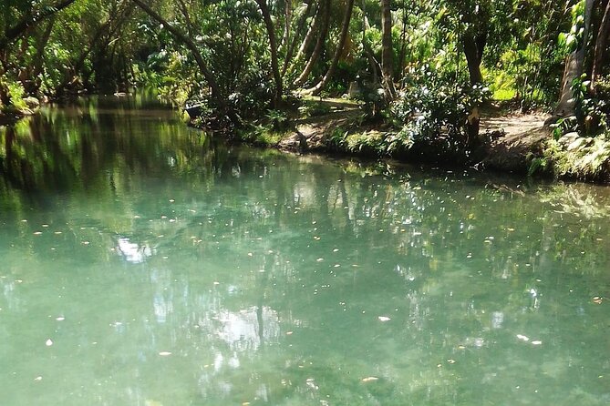 Damajagua The 7 waterfalls excursion - Amber Cove & Taino bay - Seven Waterfalls, One Price: Why Damajagua Works for a Cruise Day