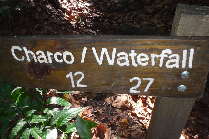 Damajagua Waterfalls for Cruise Ship Passengers - Water time: jumping, swimming, and sliding on limestone