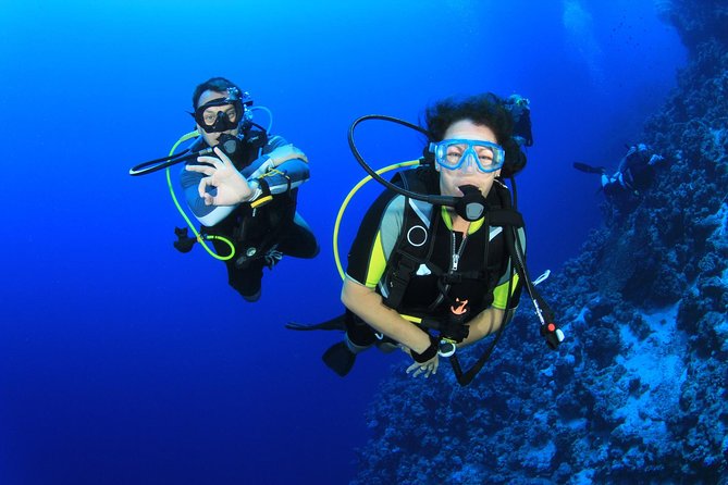 Diving for Certified Divers, 2 Tanks Sosúa Bay - Key takeaways before you go