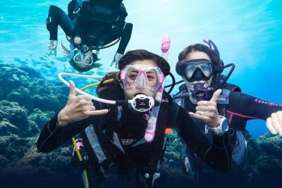 Diving for Certified Divers, 2 Tanks Sosúa Bay - Boat Elena with Captain Domingo: comfort, cadence, and a small-crew feel