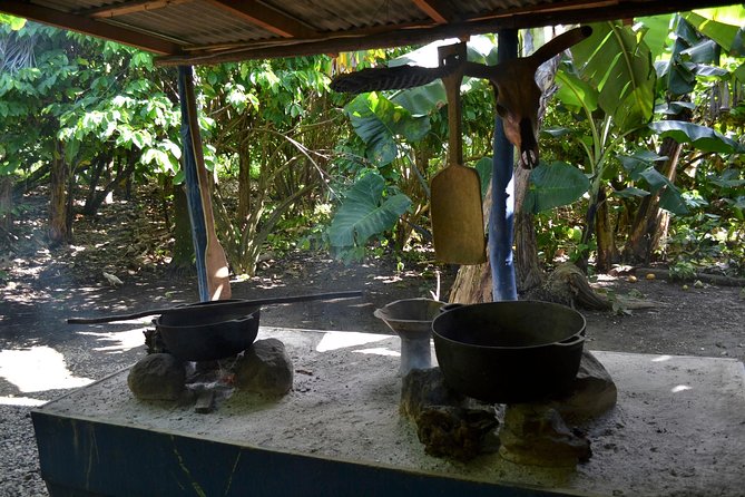 Dominican Republic Countryside Safari Tour from Punta Cana - The Open-Air Safari Truck and Anamuya Mountain Drive