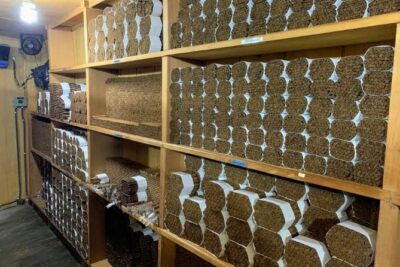 Don Lucas Cigar Factory & Store + Premium Rum Tasting (3 hours) - Don Lucas Cigar Factory: Watching Real Work Happen