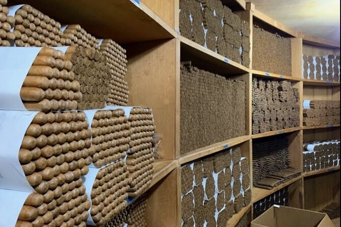 Don Lucas Cigar Factory & Store + Premium Rum Tasting (3 hours) - Coffee and Chocolate Museums: Learning Without the Classroom Vibe