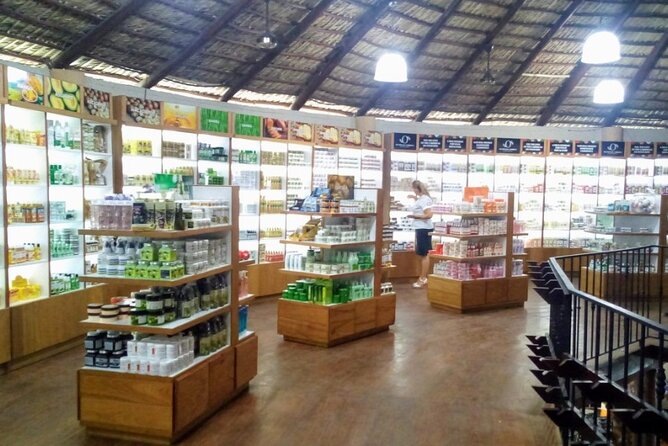 Don Lucas Cigar Factory & Store + Premium Rum Tasting (3 hours) - Pickup and Timing: The One Thing You Should Verify Twice