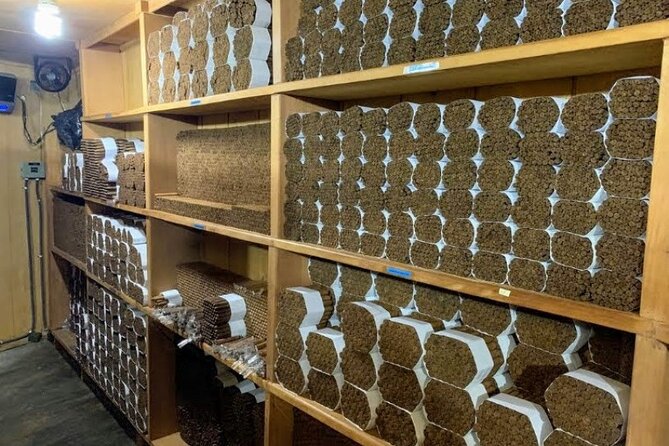 Don Lucas Cigar Factory & Store + Premium Rum Tasting (3 hours) - Don Lucas Cigar Factory: Watching Real Work Happen