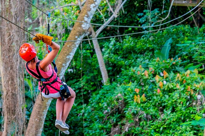 Dual Zipline Side-by-Side Adventure in Punta Cana - Should You Book This Punta Cana Zipline?