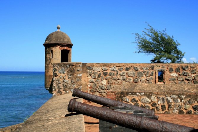 Eat Drink & Be Merry Puerto Plata City Tour -Amber Cove/Taino Bay - Teleférico Puerto Plata cable car: Mt. Isabel and the botanical garden time