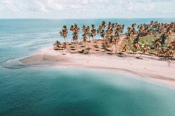 ECO TOUR Playa El Limon (Excursion Multi-activites) - Key Highlights You’ll Feel Right Away