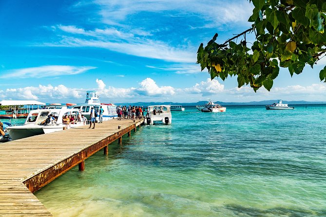El Limon Waterfall and Bacardi Island Tour from Punta Cana with Lunch Included - El Salto del Limón: 120-Foot Water, Swim Time, and Lunch at the Ranch