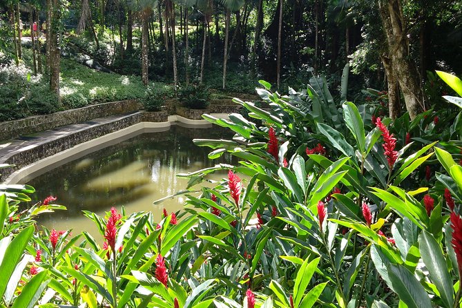 Explore Puerto Plata's Best & Cable Car - Shore Excursion - What you’ll actually enjoy at the summit