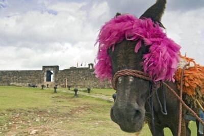 Explore Puerto Plata's Best & Cable Car - Shore Excursion - Fortaleza San Felipe: pirate-era Puerto Plata without the museum maze