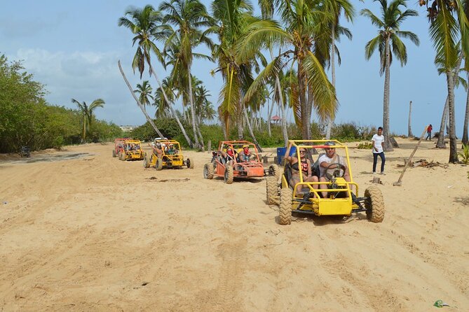 Extreme Boogie Tour in Punta Cana, Macao Beach and Cenote - The muddy buggy ride: the real reason people book