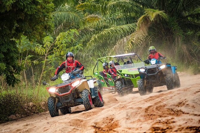 Extreme Jungle, water Cave, and Beach Buggy-Atv Punta Cana - Coffee, cacao, and cigars: the culture stops with a practical edge