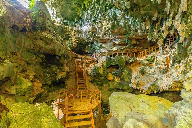 Family Buggy Adventure in Punta Cana - Beyond the Farms: Scenic Coastline Views on the Way to the Cave