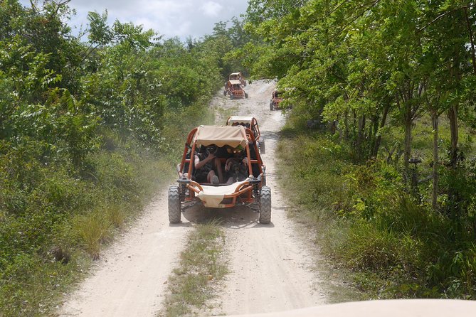 Family Buggy Adventure in Punta Cana - Pricing and Value: What $50 Covers (and What’s Extra)