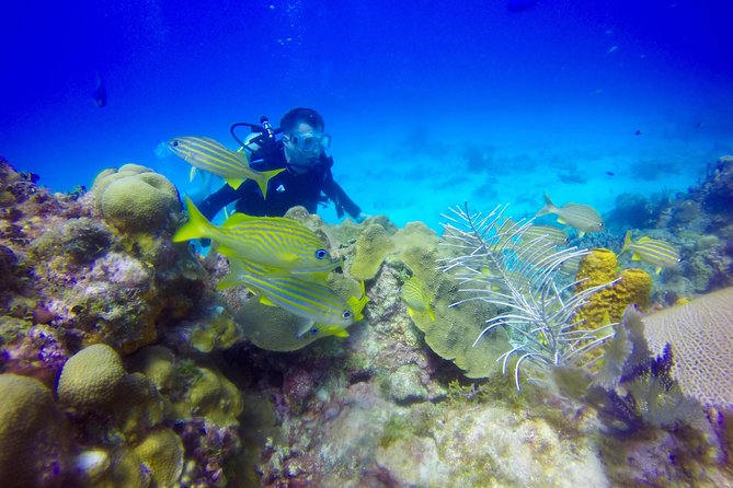 First Time Scuba Diving Experience in Punta Cana - Your First Open-Water Session Off Punta Cana (Coral Reef Focus)