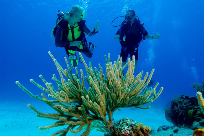 First Time Scuba Diving Experience in Punta Cana - Fitness, Age, and the One Thing You Should Not Ignore