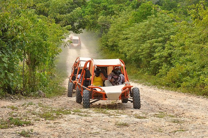 Flintstones Buggy Adventure from Punta Cana - The Best Wildlife Moment Is Usually the Roadside Surprise