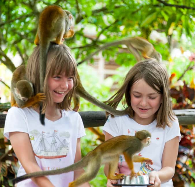 From Bayahibe: Half Day Monkeyland Safari - Monkeyland squirrel monkey time: the part you’ll remember