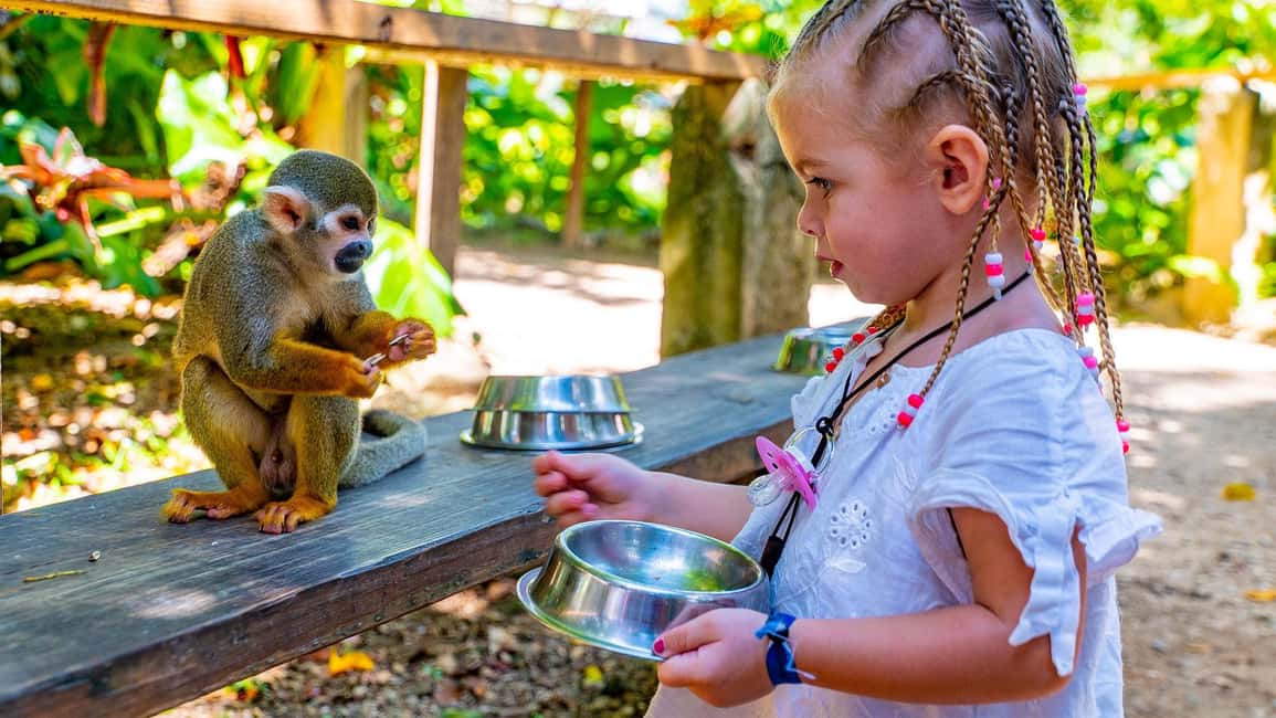 From Bayahibe: Half Day Monkeyland Safari - Typical Dominican country house: how coffee and cocoa fit in