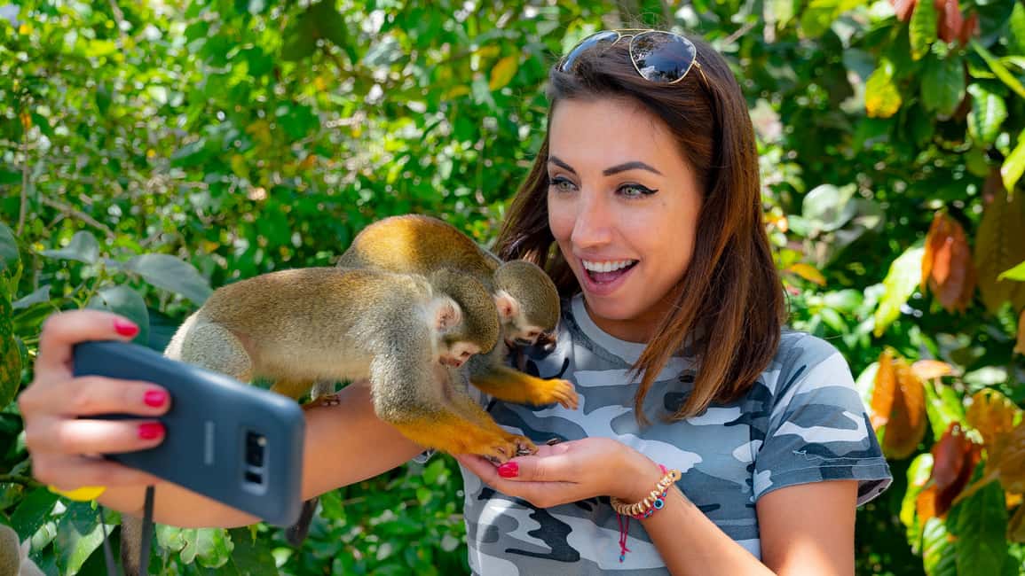 From Bayahibe: Half Day Monkeyland Safari - Monkeyland enclosures and the hand-feeding rules