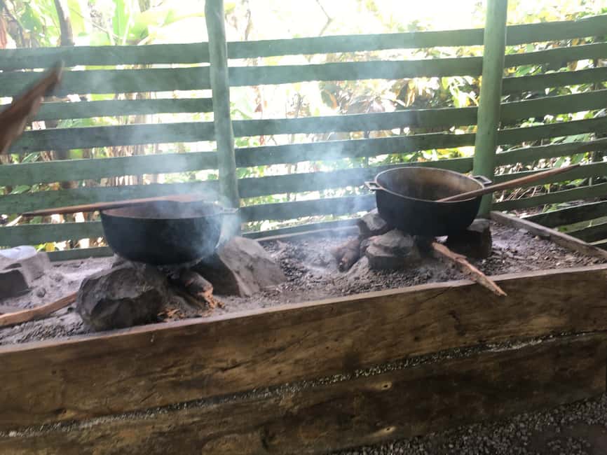 From Bayahibe: Half Day Monkeyland Safari - Price and value: is $95 worth your morning?
